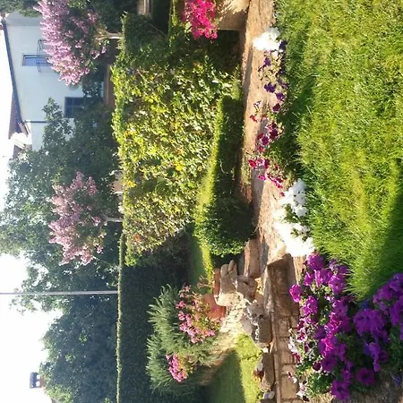 And Irena Guest house 3*